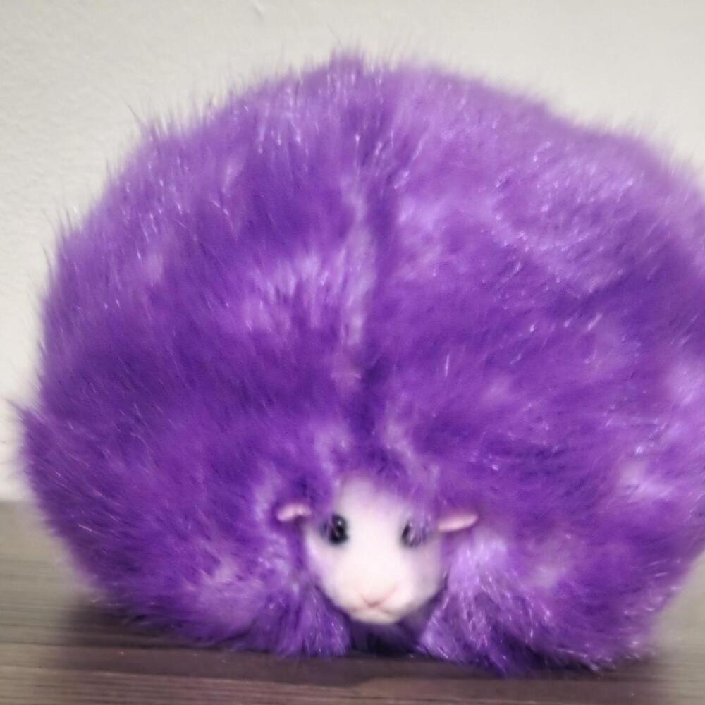 Harry potter creature makes noises #kawaii #cute